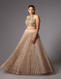 AMIT AGGARWAL Halter Blouse and skirt set