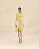 Sunflower & Peach Shirt Dress by ABHISHEK SHARMA
