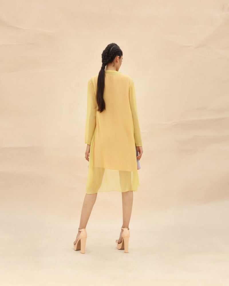 Sunflower , squirrel grey & Peach Short Tunic dress by ABHISHEK SHARMA