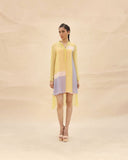 Sunflower , squirrel grey & Peach Short Tunic dress by ABHISHEK SHARMA