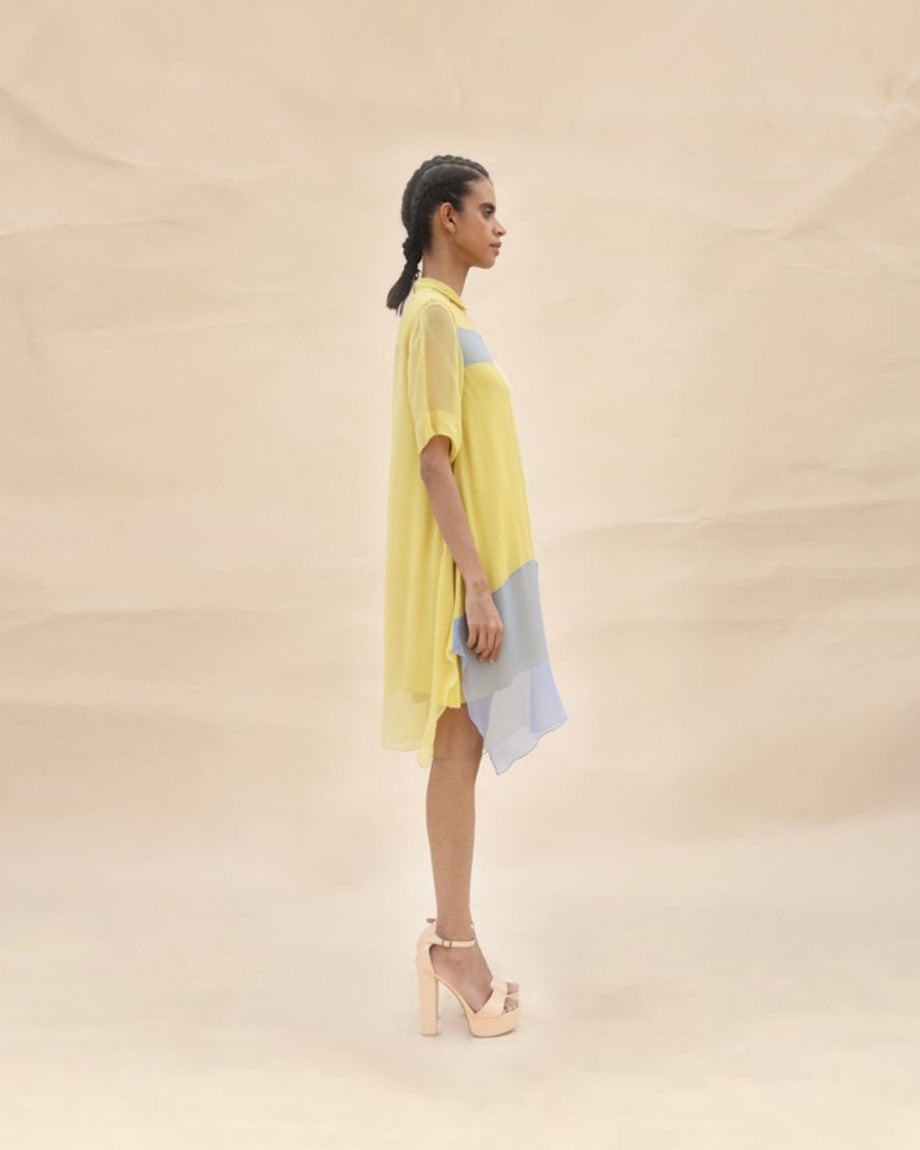 Sunflower & Squirrel grey Shirt dress by ABHISHEK SHARMA